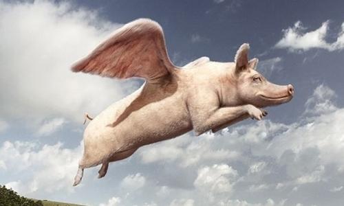 10.阵风像老虎,尘土飞扬。在某些地方,枯叶在风中翩翩起舞,就像天空中的流星一样。黑暗笼罩着大地,没有太阳或蓝天。地面上到处都是枯死的树枝和树叶。通常情况下,所有草丛都摇摇欲坠地落到地面上,花朵从微笑的脸上消失了,但是作为交换,因为它们美丽的花瓣被风吹走了,所以哭泣的声音得以交换。枯死的树枝在风中沙沙作响,仿佛在扮演起伏的“小巫师”。鸟躲在屋檐下,恐惧地哭了。路上的行人都被大外套包裹着,脖子收紧,他们非常不愿意将自己的整个头缩进衣领中,急着赶紧回家。大风像镰刀一样吹在脸上,非常痛苦!