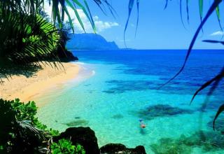 11.家庭的感情是多么宝贵，正是它使我摆脱了世界的孤独，悲伤和困苦。