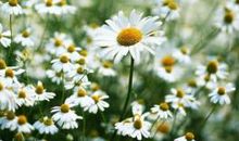 关于亲情的搞笑句子说说心情短语