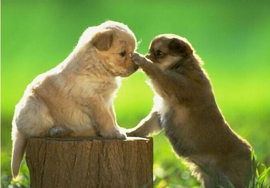 关于知己的审美句子