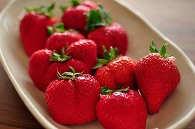 11.亚丁风景区的植被类型多种多样，包括高等植物1115种，12l科和430属维管植物，包括20科，34属和103种蕨类，101科，396属和1012种。该地区属于国家二级和三级保护植物，包括玉龙蕨，扇形蕨和扇形树。冰杉长芽，丽江铁杉，陶尔奇，八角莲，四川牡丹，金铁锁等，特别是地狱谷的情人树（铁杉和高山栎同根）在植物界可谓奇观。