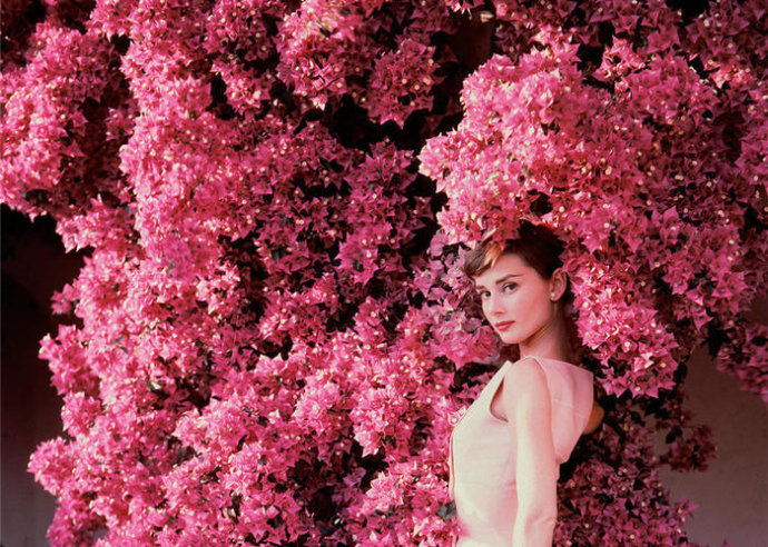 优雅精致的女人的句子2