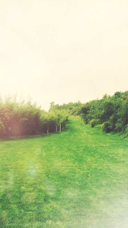 10.此时，您会突然感觉到“缺失”一词尚未触及我们所感受到的深度，远远不够！