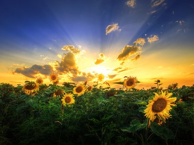 12.是的，我不能来回走，我不能回去！因为它们被无尽的时间浪潮隔开。涛涛无尽如水。一段恋情持续了十五年，等待了十五年。十五年的恋爱已经足够了，尘埃落定了。问世界，多少爱可以回报？请珍惜摆在你面前的那个人。