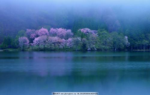 11.我最讨厌被亲戚所伤。我太在乎我的亲戚做什么。