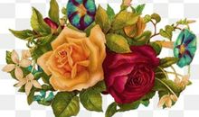 表达放风筝开心的句子