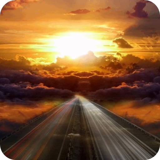 12.我被亲人伤透了心。我想最后一次哭泣。