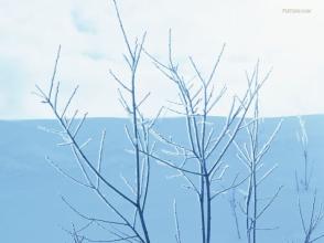 12.总是有一种难以言说的，不清楚的味道，涩涩的，略带甜味的，甜而有益的。