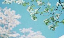 有亲情有母爱的句子