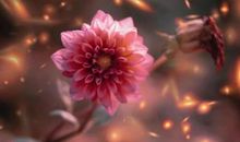 诗经中有关亲情句子