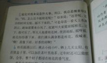 环境描写的句子