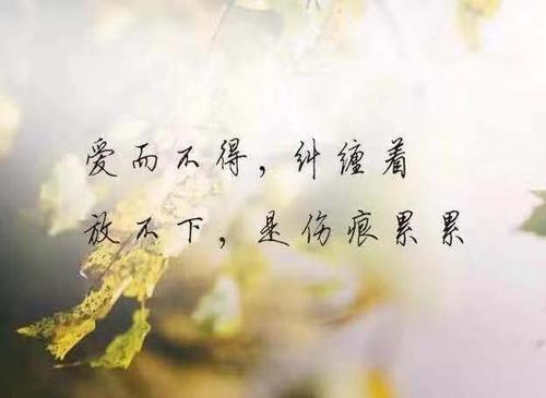 9.午夜时分，一点点阳光是旅行者的最后希望。他们是恶狼的眼睛！太阳;月亮;总是交替的。阳光;月光;在他们的光芒下，发生了很多荒谬的事情，事实证明我的微笑很残酷。