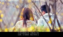 形容遇见你真好的句子