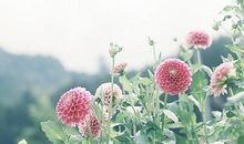 文艺范的句子亲情