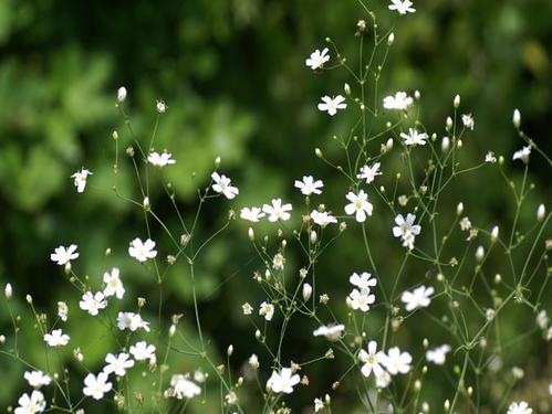 10.每个人都会在心中留下一些回忆，在半夜安静的时候倾泻而出。那些关于家庭，友谊和爱情的故事。那些跟随