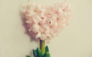 10.风是不确定的，云是无常的，生命就像浮萍，聚集和分散无常，相遇是有缘的，相识是有意的，彼此了解是真的。