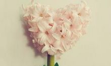 亲情与友情的句子