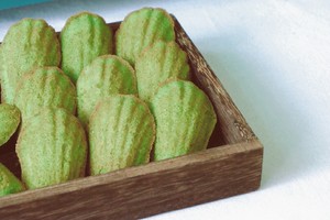 10.在小学的满月聚会上，大二班的孩子们聚集在湘湖的草坪上。他们可以再次与她的好朋友高玉欣见面。两个孩子非常高兴。这个童年时代最纯真的友谊！