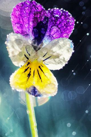 12.有一种爱，当迟到时不会再出现；离开后有一种无法追溯的感情，是家庭的感情！