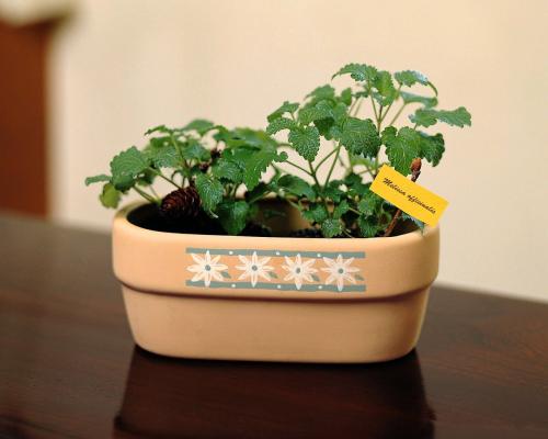 12.当你饿了的时候，如果这个人愿意给你一半的bun头，那是因为友谊。如果这个人先给你the头吃，那是因为爱。如果那个人愿意给您整个steam头，那是因为家人的关爱。然后有人藏着bun头，告诉您他们也饿了。这就是社会。