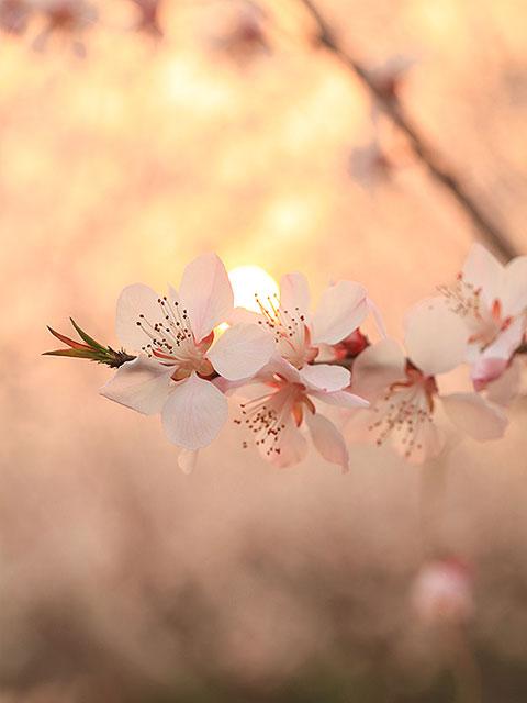 11.在孩子的口和心中，母亲是上帝。