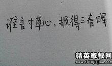 关于妈妈的句子