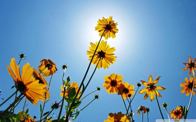 12.亲情是倾斜的吉他。爱越深,爱就越能打动你的心弦。