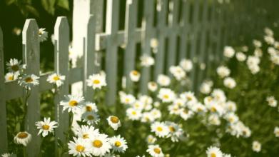 12.女人很脆弱，但是母亲很坚强。