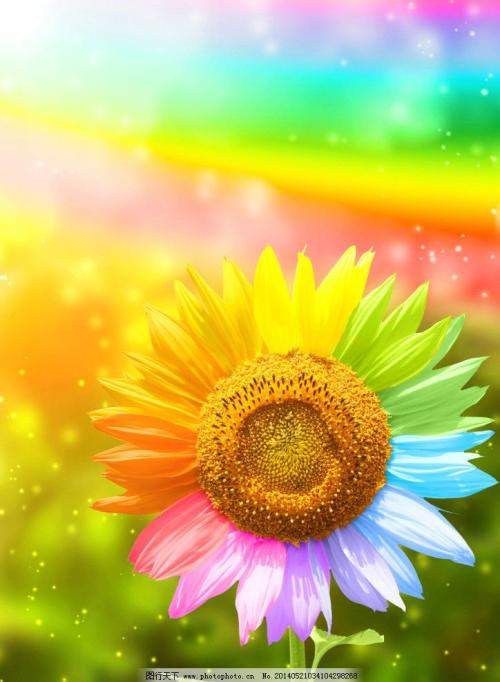 10.家人的感情是西西里岛的日落，缠绵却华丽。家庭感情是美索不达米亚平原上的铭文，含糊但有意义。