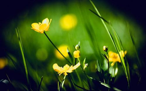 10.在你的眼中，整个宇宙都有星星和海洋。但是没有我。