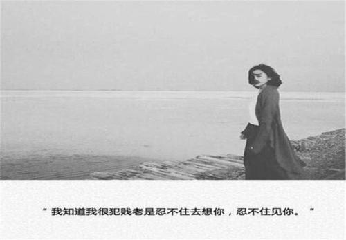 12.您仍然不愿意原谅我吗？您只需画一条路，设置一个场景，挖一个洞，我就会跳进来，让the狼和豹子吃掉我！