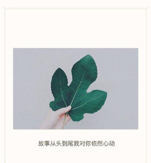 11.有抱负的人有成千上万的东西，没有抱负的人只有困难。