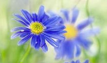 人生亲情哲理的句子