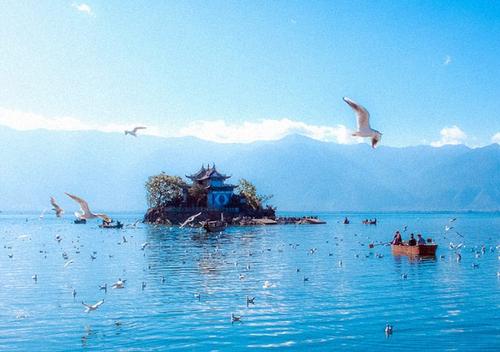 简短的悲伤句子和心痛