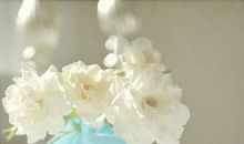 形容亲情珍贵句子