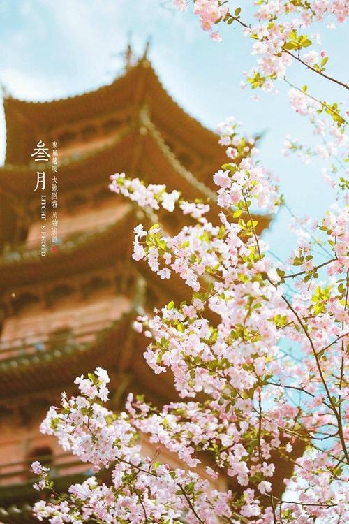 11.什么是家庭感情？明亮的眼睛引导我们前进；