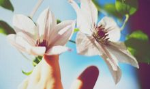 亲情所流露出来的句子