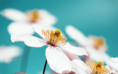 11.什么是家庭感情？家庭感情建设应该建立在爱情的基础上；