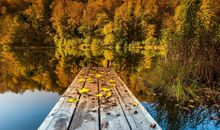 描写秋天景色的句子