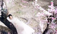 三生三世十里桃花名言