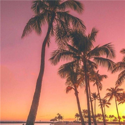 12.当批评我们的父母太狭窄时，我们一定不要忘记他们的深度。