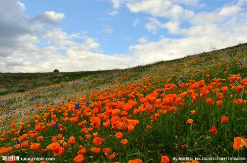 11.很难。一开始一切都会很困难。只是通过它。为了生存。