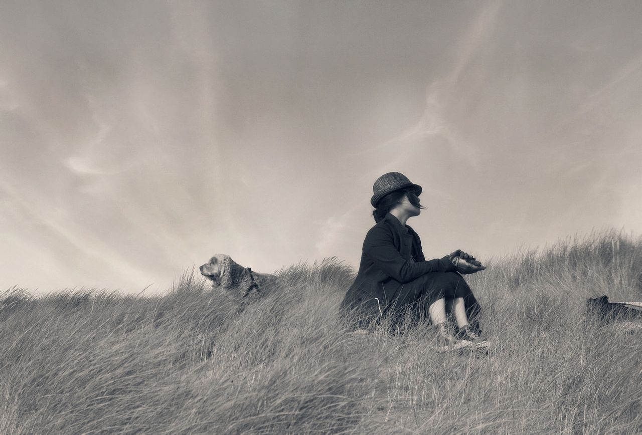 怀旧的审美句子