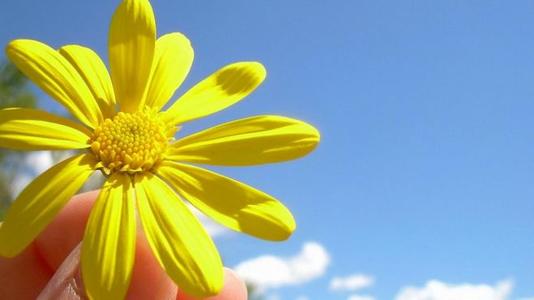 12.亲情是风雨无阻的避风港，动摇幸福，使爱情变得轻松自在；