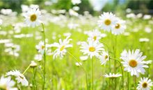 感人人间亲情的句子