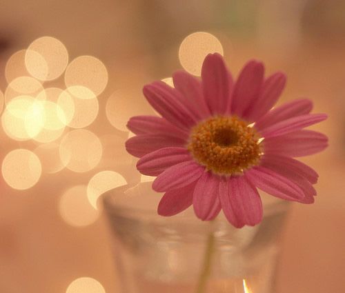 11.时间就像水，岁月容易流逝，就像水淡化了我们的许多回忆，但我们永远不会改变对母亲的怀念。