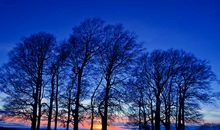 享受着亲情把句子补充完整