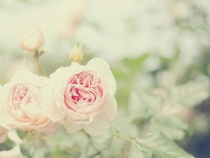 10.家庭建设应建立在爱的基础上；