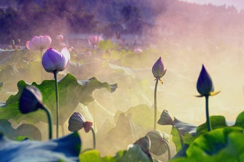 10.顾名思义，家庭感情是亲人的感情。作为社会上的人们，人们首先经常与自己亲生肉体，热爱血肉的父母，兄弟姐妹接触。血液比水浓稠的情感构成了我们丰富多彩的生活，并维护了这个社会的生存和发展。