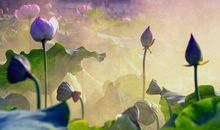 最有诗意的亲情句子